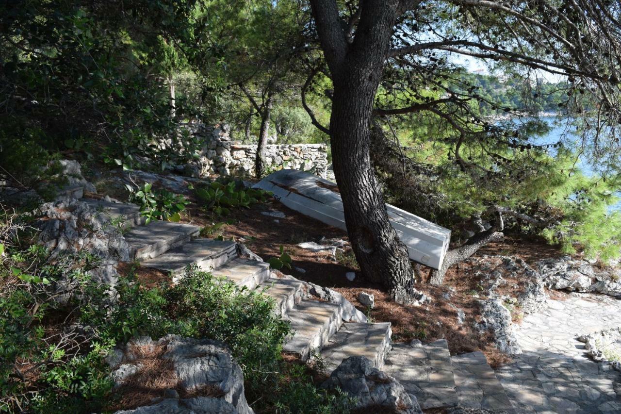 Apartments Polic Primošten المظهر الخارجي الصورة