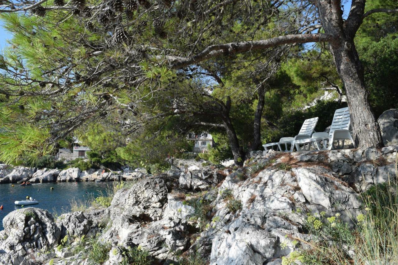 Apartments Polic Primošten المظهر الخارجي الصورة