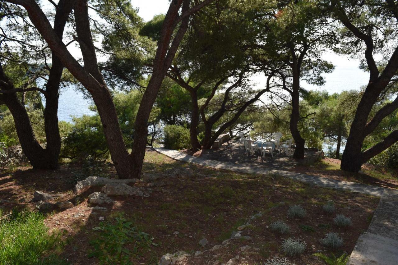 Apartments Polic Primošten المظهر الخارجي الصورة